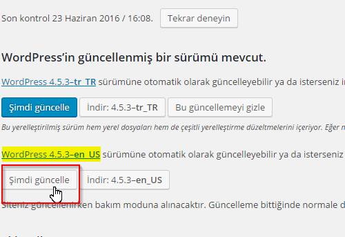 wordpress guncelleme